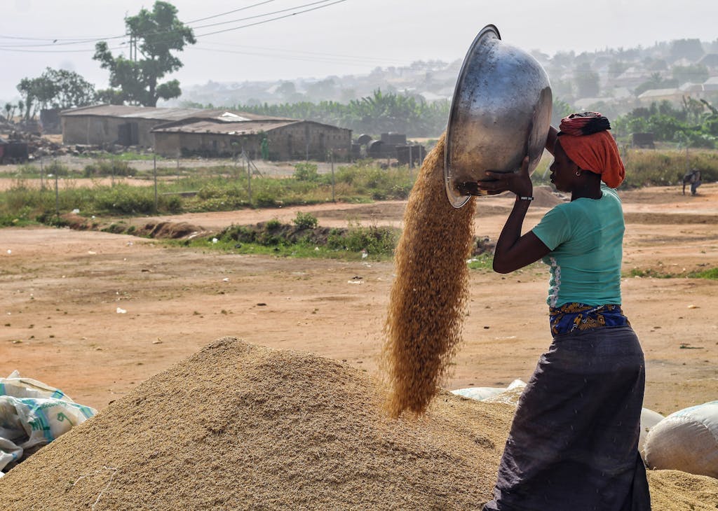 Woman Working on Field